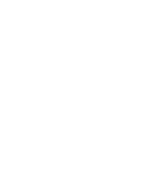 Trip Advisor Logo